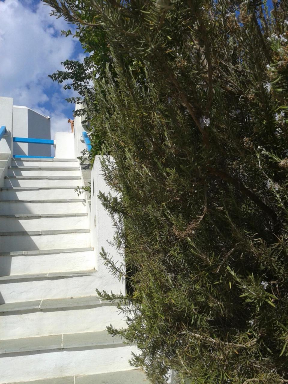 Smaragda Rooms & Studios Platis Gialos  Kültér fotó